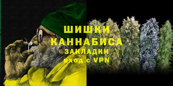 PSILOCYBIN Балабаново