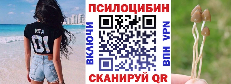 Галлюциногенные грибы мицелий  Купить закладки  Правдинск 